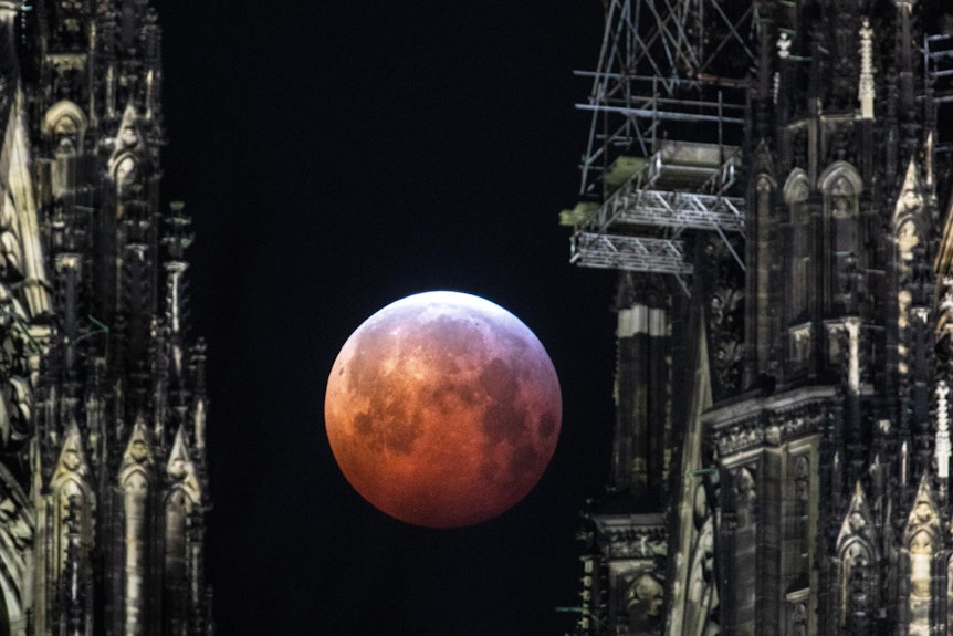 Köln: Totale Mondfinsternis - die schönsten Fotos vom Blutmond | Express