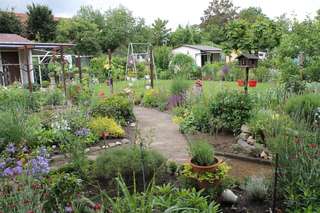 Gartenanlage mit kleinen Häuschen in einer Kleingartenanlage, Link auf Historie der Kleingärten
